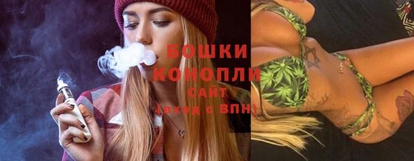 стаф Бронницы