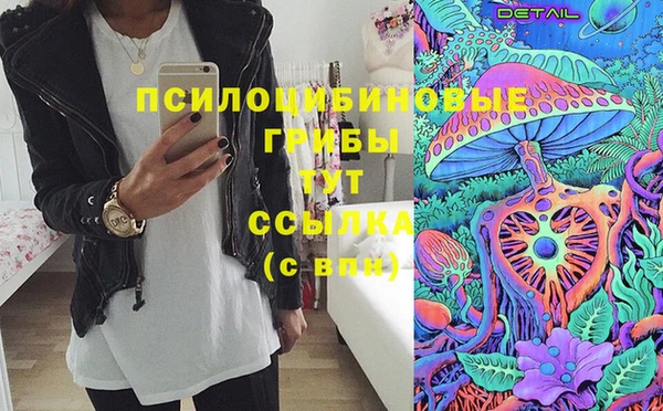 стаф Бронницы