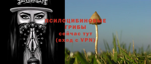 стаф Бронницы