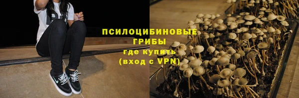 стаф Бронницы